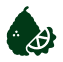 9. Bergamot
