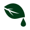 11. Tea Tree